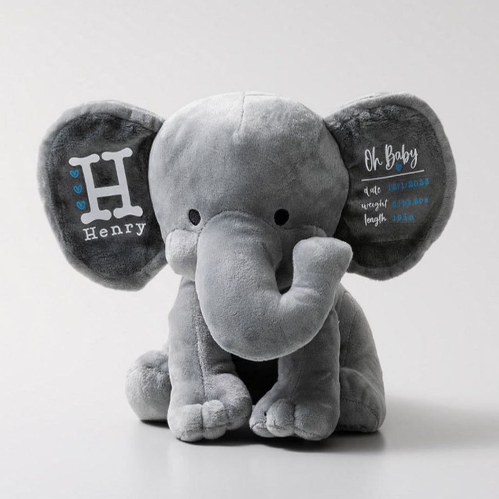 Personalised Teddy Bear