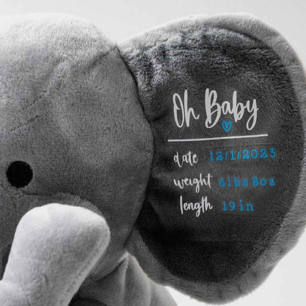 Personalised Teddy Bear