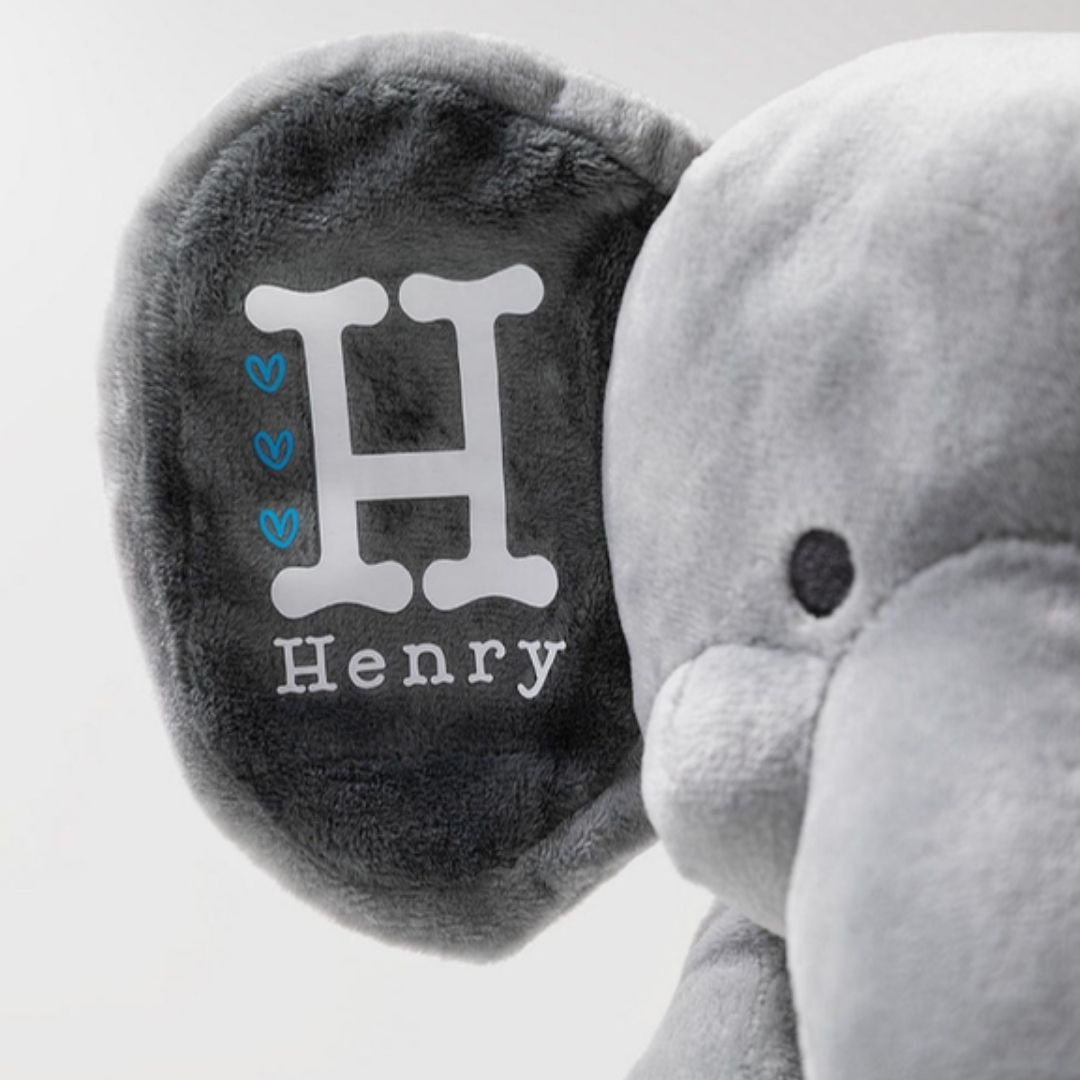 Personalised Teddy Bear